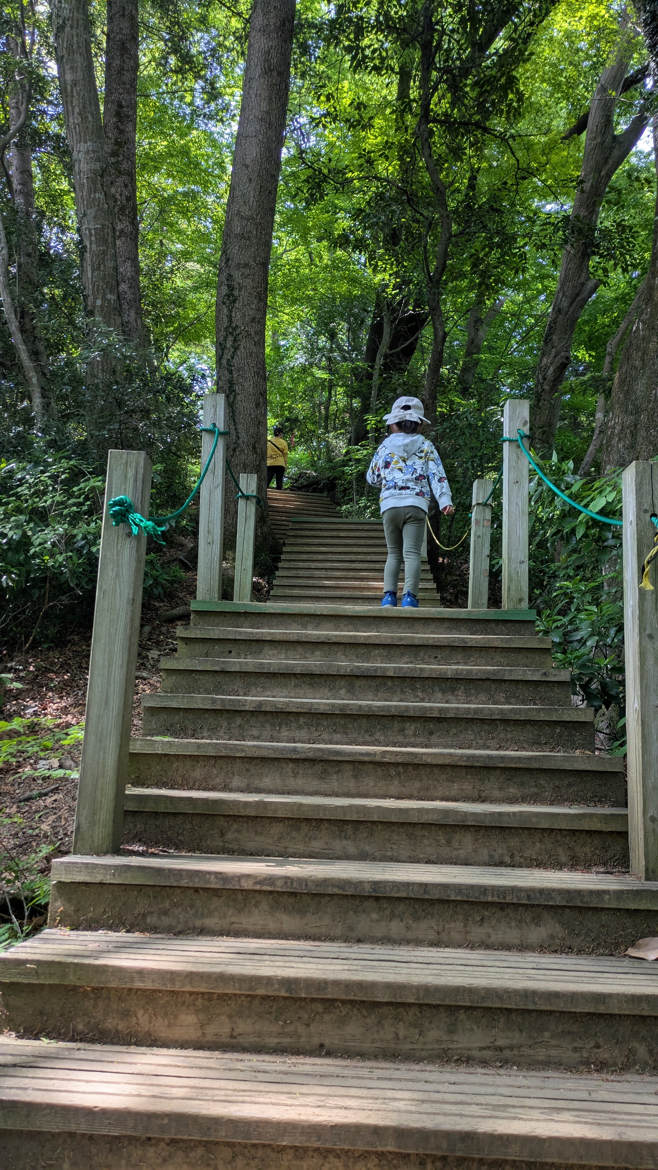 娘と登山します